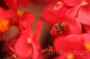 IMG_1418 * 3072 x 2048 * (637KB)
