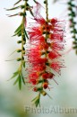 IMG_1476 * 2048 x 3072 * (1.76MB)