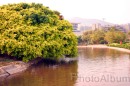 IMG_1482 * 3072 x 2048 * (2.09MB)