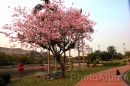 IMG_1512 * 3072 x 2048 * (2.34MB)