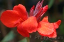 IMG_2212 * 3072 x 2048 * (822KB)