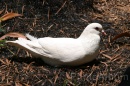 IMG_2283 * 3072 x 2048 * (1.58MB)