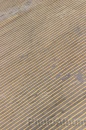 IMG_2333 * 2048 x 3072 * (2.09MB)