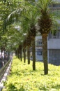 IMG_2355 * 2048 x 3072 * (1.39MB)