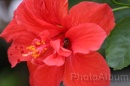 IMG_2378 * 3072 x 2048 * (730KB)