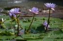 IMG_2399 * 3072 x 2048 * (939KB)
