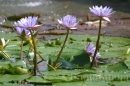 IMG_2400 * 3072 x 2048 * (995KB)