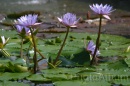 IMG_2401 * 3072 x 2048 * (970KB)