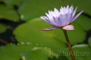 IMG_2408 * 3072 x 2048 * (675KB)