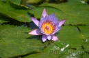 IMG_2421 * 3072 x 2048 * (852KB)
