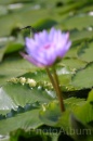 IMG_2444 * 2048 x 3072 * (728KB)