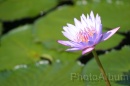 IMG_2453 * 3072 x 2048 * (708KB)