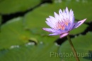 IMG_2454 * 3072 x 2048 * (711KB)