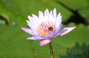 IMG_2458 * 3072 x 2048 * (724KB)