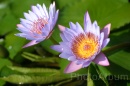 IMG_2468 * 3072 x 2048 * (843KB)