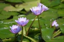 IMG_2477 * 3072 x 2048 * (793KB)