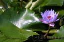IMG_2483 * 3072 x 2048 * (776KB)