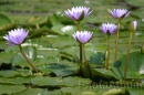 IMG_2492 * 3072 x 2048 * (928KB)