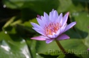 IMG_2495 * 3072 x 2048 * (763KB)