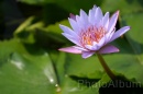 IMG_2500 * 3072 x 2048 * (741KB)