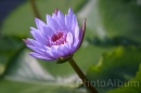 IMG_2501 * 3072 x 2048 * (696KB)