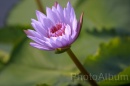 IMG_2504 * 3072 x 2048 * (688KB)