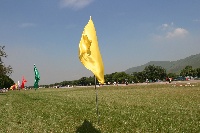 Jump to image
