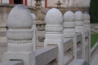 IMG_7022 