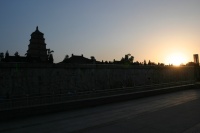 IMG_7449 