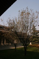 IMG_7543 