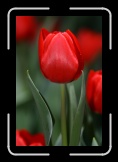 CRW_9699 * ASCII * 2048 x 3072 * (849KB)