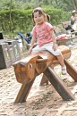 CRW_9274 * 2048 x 3072 * (2.05MB)