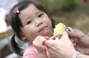 CRW_9312 * 3072 x 2048 * (1.2MB)