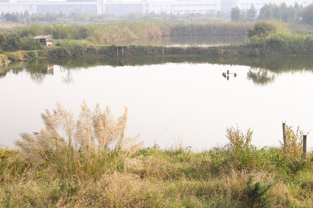 CRW_1565.JPG