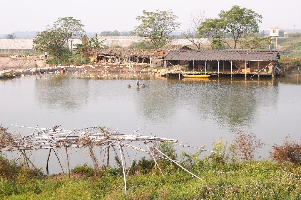 CRW_1574.JPG