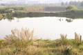 CRW_1565