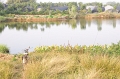CRW_1570