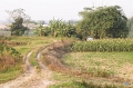 CRW_1575