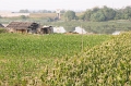 CRW_1576